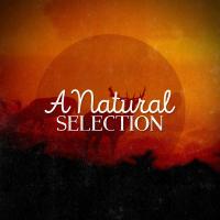 Artwork for A Natural Selection by Nature Sounds Nature Music