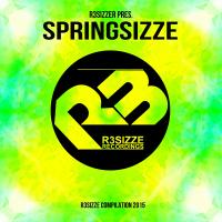 Artwork for R3sizzer pres. SPRINGSIZZE by Various Artists