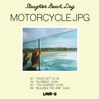 Artwork for Motorcycle.jpg by Slaughter Beach, Dog