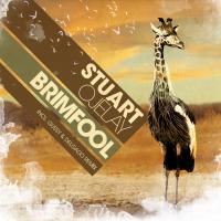 Artwork for Brimfool by Stuart Ojelay