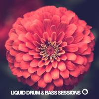 Artwork for Liquid Drum & Bass Sessions 2020 Vol 8 by Various Artists