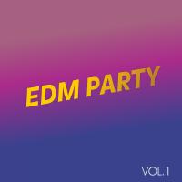 Artwork for EDM Party by Various Artists