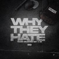 Artwork for Why They Hate by Young Drummer Boy