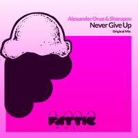 Artwork for Never Give Up by Alexander Orue