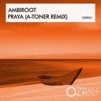 Artwork for Praya (A-Toner Remix) by Ambiroot