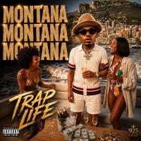 Artwork for Trap Life by Montana Montana Montana