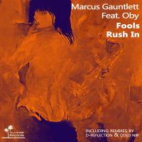 Artwork for Fools Rush In by Marcus Gauntlett