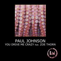 Artwork for You Drive Me Crazy by Paul Johnson