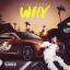 Artwork for Why