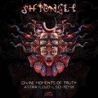 Artwork for Divine Moments of Truth by Shpongle