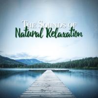 Artwork for The Sounds of Natural Relaxation by Nature Sounds Nature Music