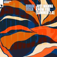 Artwork for Just Wanna Know You (Summer 2.0) by Burak Yeter