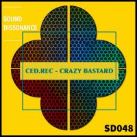 Artwork for Crazy Bastard by Ced.Rec