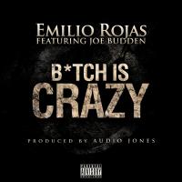 Artwork for B*tch is Crazy (feat. Joe Budden) by Emilio Rojas