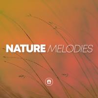 Artwork for Nature Melodies by Relaxing Music Therapy