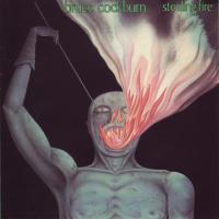 Artwork for Stealing Fire (Deluxe Edition) by Bruce Cockburn