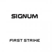 Artwork for First Strike by Signum