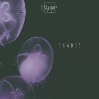 Artwork for Shades by Important