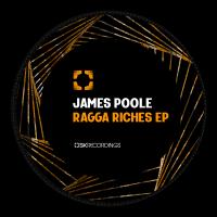 Artwork for Ragga Riches by James Poole