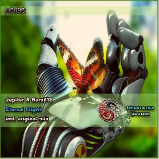Artwork for Eternal Flight (Original Mix)