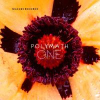 Artwork for One by Polymath