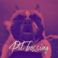 Artwork for Pit Bossing by Mr. Shadow