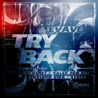 Artwork for Try Back by Evave