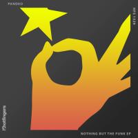 Artwork for Nothing but the Funk by Pandeo