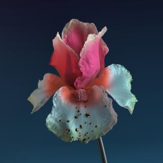 Artwork for Like Water (Jacques Greene Remix)