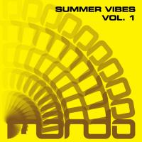 Artwork for Summer Vibes, Vol. 1 by Various Artists