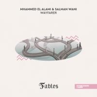 Artwork for Wayfarer by Mhammed El Alami