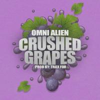 Artwork for Crushed Grapes by Omni Alien