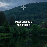 Artwork for Peaceful Nature by Sleep Music