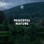 Artwork for Nature Sounds