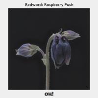 Artwork for Raspberry Push by Redward