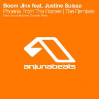 Artwork for Phoenix From The Flames (The Remixes) by Boom Jinx