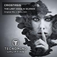 Artwork for The Last Voice In Silence by Criostasis