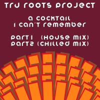 Artwork for A Cocktail I Cant Remember by Tru Roots Project