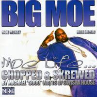 Artwork for Moe Life by Big Moe