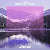 Artwork for Never Let You Go by Suave