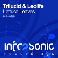 Artwork for Lettuce Leaves by Trilucid