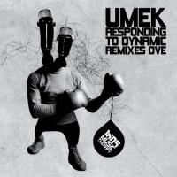 Artwork for Responding to Dynamic (Remixes Dve) by UMEK