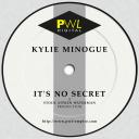 Artwork for It's No Secret (Extended Version)