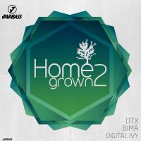 Artwork for Homegrown 2 by DTX