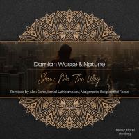 Artwork for Show Me The Way (The Remixes) by Damian Wasse