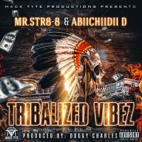 Artwork for Tribalized Vibez by Mr.Str8-8