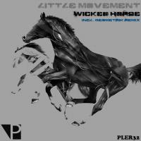 Artwork for Wicked Horse by Little Movement