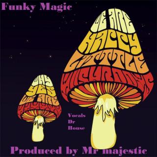 Artwork for Funky Magic (Original Mix)