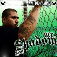 Artwork for A Medio Camino by Mr. Shadow