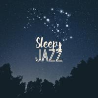 Artwork for Sleepy Jazz by Music For Quiet Moments